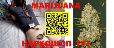 тгк Новодвинск