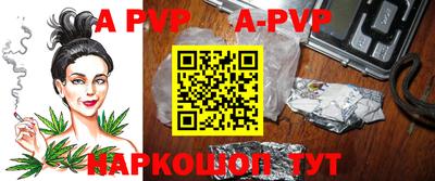 тгк Новодвинск
