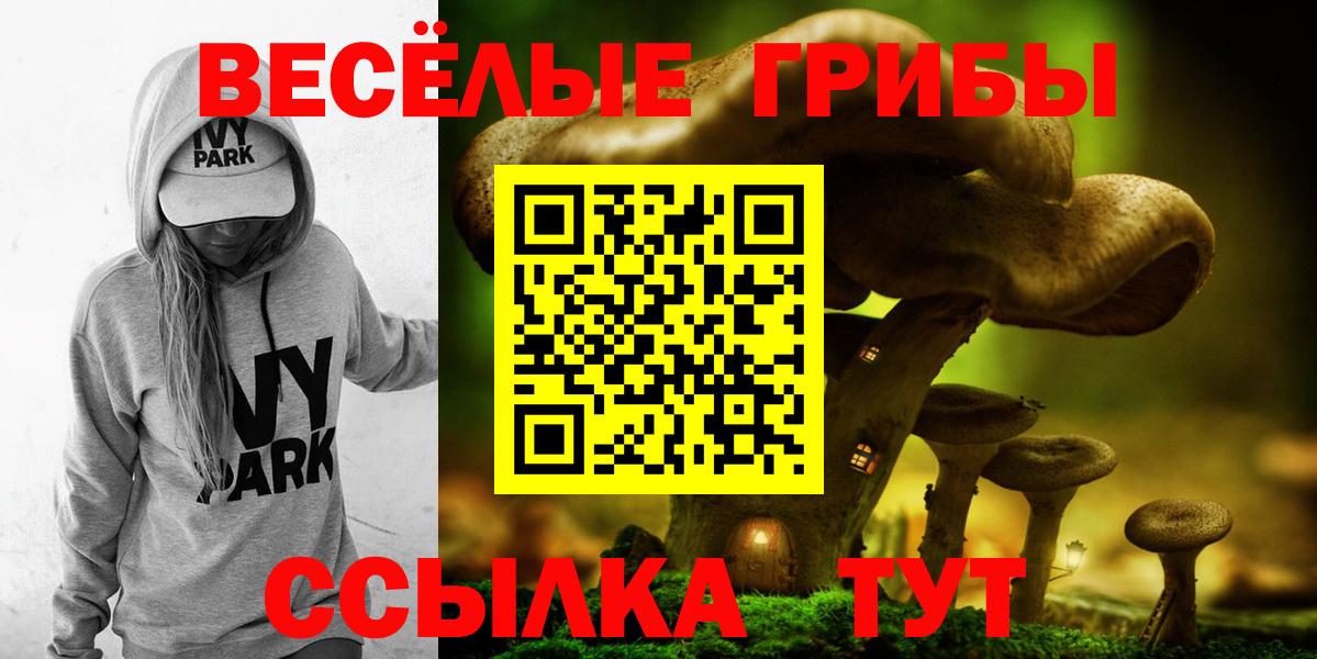 Псилоцибиновые грибы ЛСД  где можно купить   Евпатория  Вход с VPN 